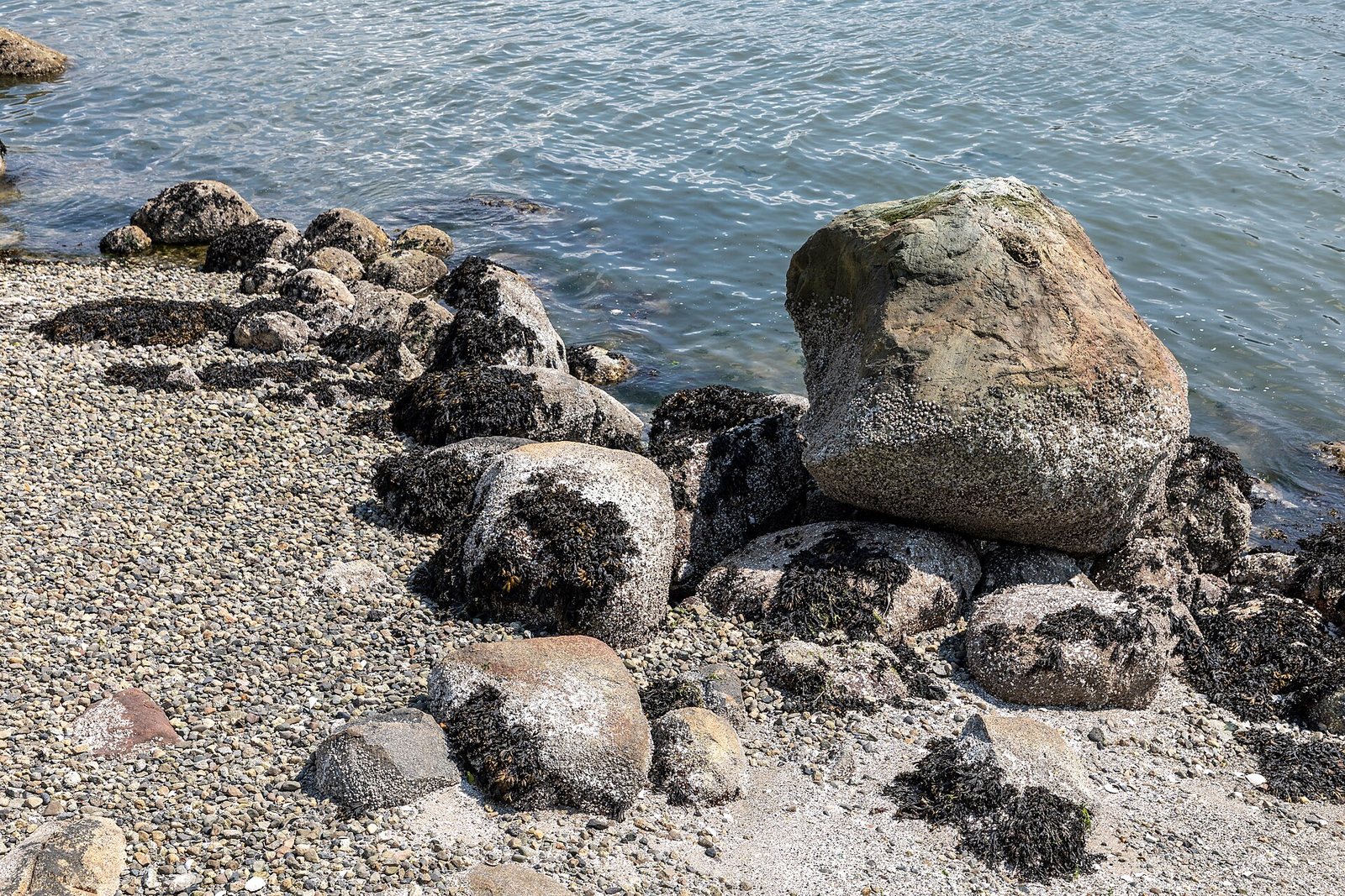 溫哥華史丹利公園旁的海灣、海堤與遠山。