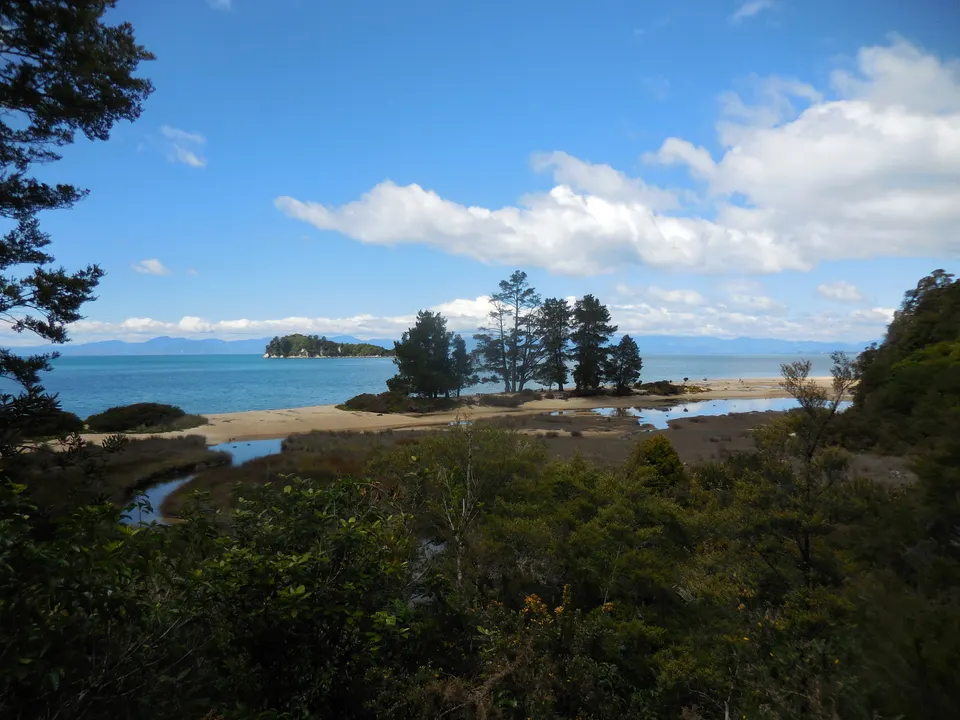 A view from the journey.