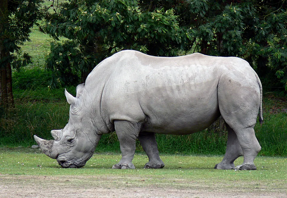 Orana Wildlife Park