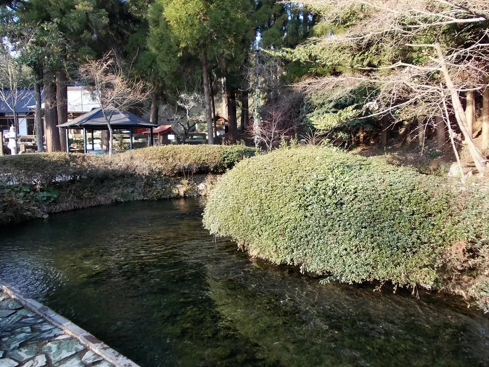Kumamoto