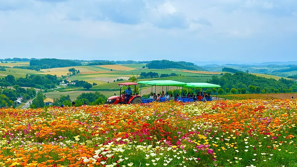 Furano